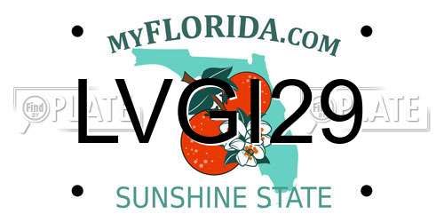 LVGI29 Florida License Plate