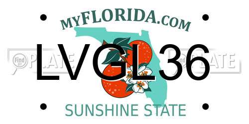 LVGL36 Florida License Plate