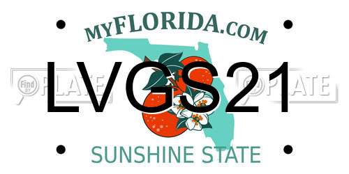 LVGS21 Florida License Plate