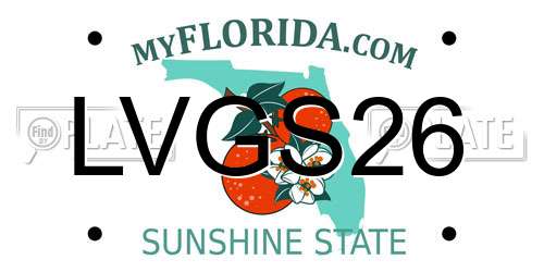 LVGS26 Florida License Plate