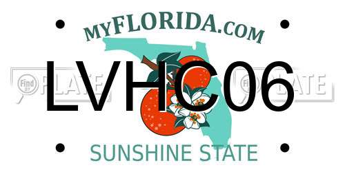 LVHC06 Florida License Plate