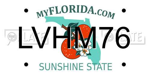 LVHM76 Florida License Plate