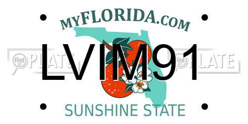 LVIM91 Florida License Plate