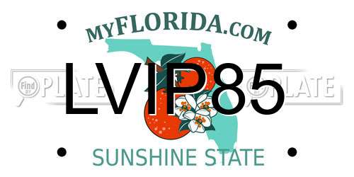 LVIP85 Florida License Plate