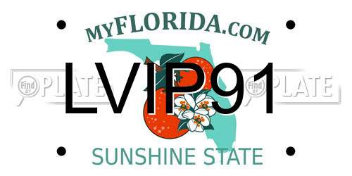 LVIP91 Florida License Plate