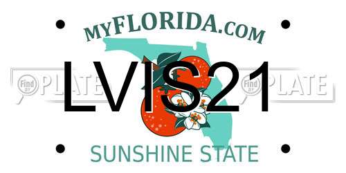 LVIS21 Florida License Plate