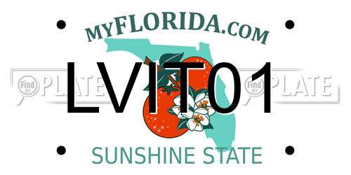 LVIT01 Florida License Plate
