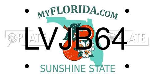 LVJB64 Florida License Plate