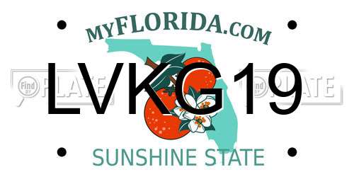 LVKG19 Florida License Plate
