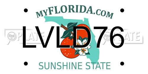 LVLD76 Florida License Plate