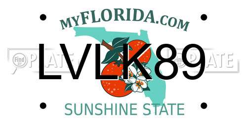 LVLK89 Florida License Plate