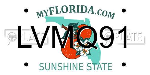 LVMQ91 Florida License Plate