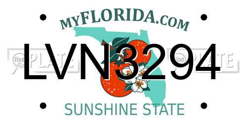 LVN3294 Florida License Plate