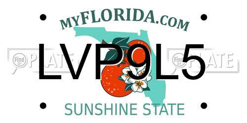 LVP9L5 Florida License Plate