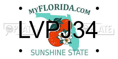 LVPJ34 Florida License Plate