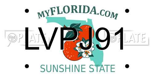LVPJ91 Florida License Plate