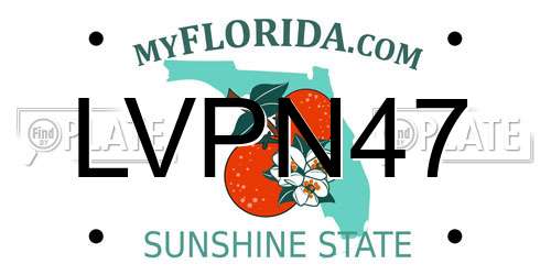 LVPN47 Florida License Plate