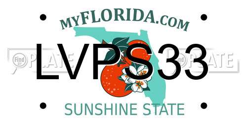 LVPS33 Florida License Plate
