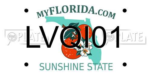 LVQI01 Florida License Plate