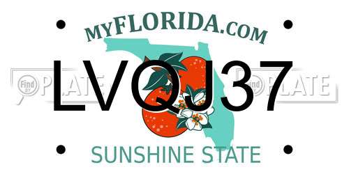 LVQJ37 Florida License Plate