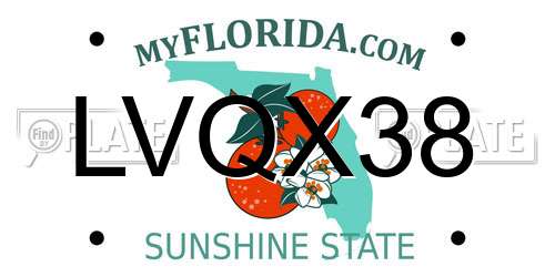 LVQX38 Florida License Plate