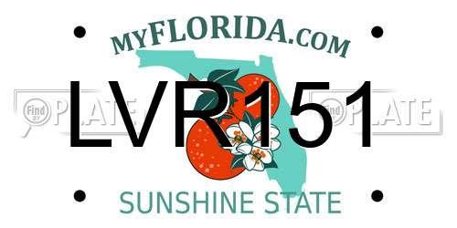 LVR151 Florida License Plate