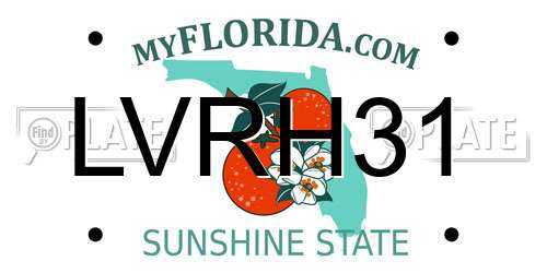 LVRH31 Florida License Plate