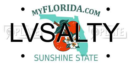LVSALTY Florida License Plate