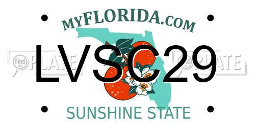 LVSC29 Florida License Plate