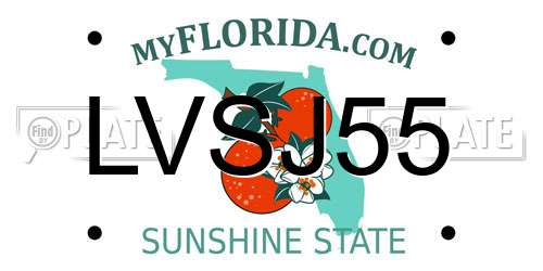 LVSJ55 Florida License Plate