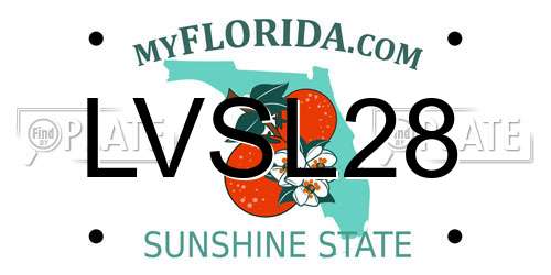 LVSL28 Florida License Plate