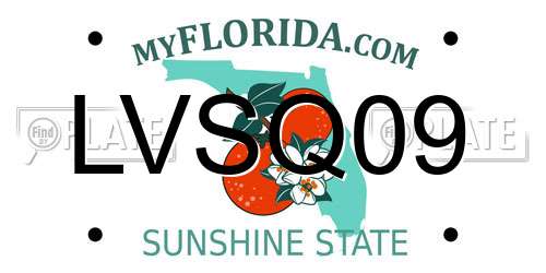 LVSQ09 Florida License Plate