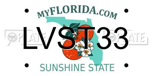 LVST33 Florida License Plate