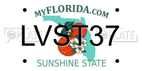 LVST37 Florida License Plate