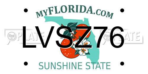 LVSZ76 Florida License Plate