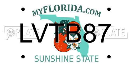LVTB87 Florida License Plate