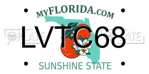 LVTC68 Florida License Plate
