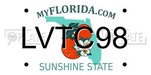 LVTC98 Florida License Plate