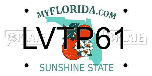 LVTP61 Florida License Plate