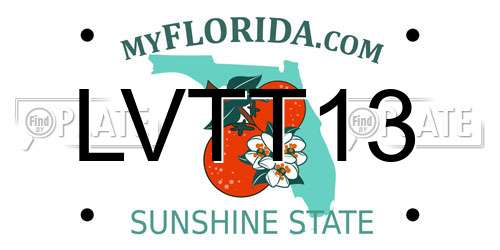 LVTT13 Florida License Plate