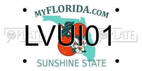 LVUI01 Florida License Plate