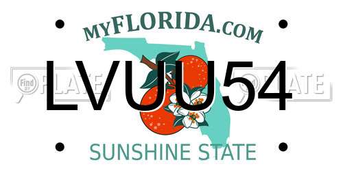 LVUU54 Florida License Plate