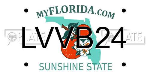 LVVB24 Florida License Plate