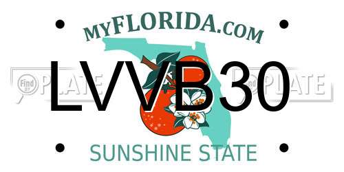 LVVB30 Florida License Plate
