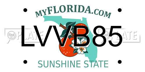 LVVB85 Florida License Plate
