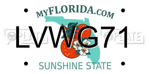 LVWG71 Florida License Plate