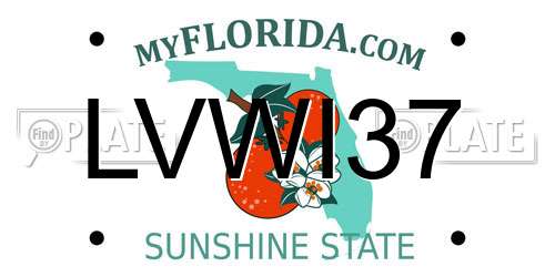 LVWI37 Florida License Plate