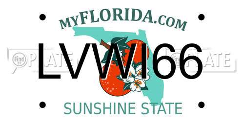 LVWI66 Florida License Plate