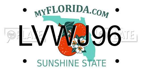 LVWJ96 Florida License Plate