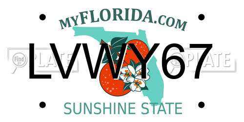 LVWY67 Florida License Plate